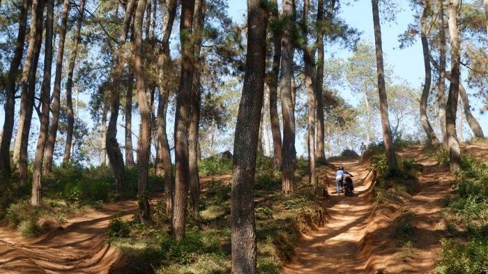 Tanjakan Langit di Selatan Kota Bandung Bisa Jadi Trek Motor Trail yang Menarik untuk Dicoba Off-Roader